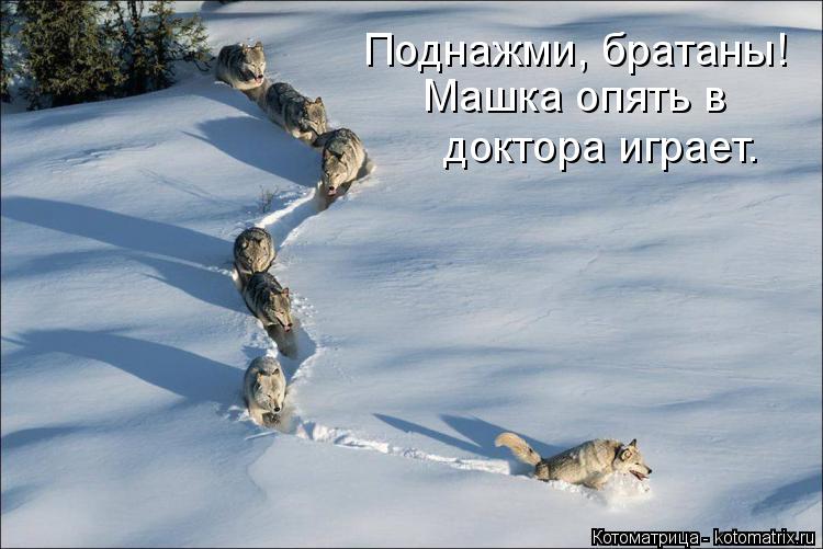 Поднажми, братаны! Машка опять в доктора играет.... Котоматрица: Поднажми, братаны! Машка опять в доктора играет.