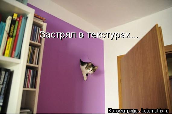 Застрял в текстурах...... Котоматрица: Застрял в текстурах...