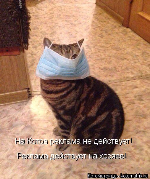 На Котов реклама не действует! Реклама действует на хозяев!... Котоматрица: На Котов реклама не действует! Реклама действует на хозяев!