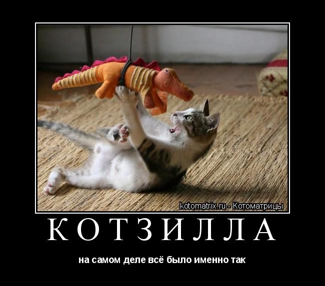 КОТЗИЛЛА на самом деле всё было именно так... Котоматрица: КОТЗИЛЛА на самом деле всё было именно так