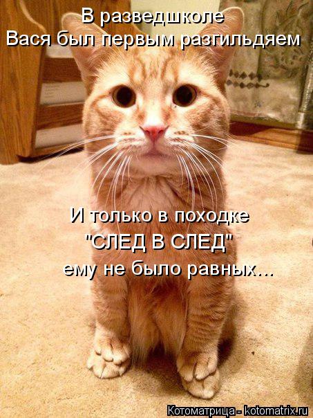 Котоматрица: Вася был первым разгильдяем "СЛЕД В СЛЕД" ему не было равных... В разведшколе И только в походке