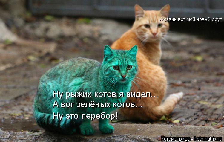 -Хозяин вот мой новый друг Ну рыжих котов я видел... А вот зелёных котов... Ну это перебор!... Котоматрица: -Хозяин вот мой новый друг Ну рыжих котов я видел... А вот зелёных котов... Ну это перебор!