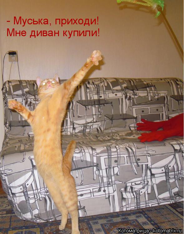 Мне диван купили! - Муська, приходи!... Котоматрица: Мне диван купили! - Муська, приходи!