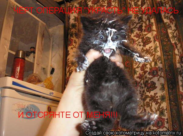 ЧЁРТ ОПЕРАЦИЯ "УКРАСТЬ" НЕ УДАЛАСЬ И ОТСРЯНТЕ ОТ МЕНЯ!!!... Котоматрица: ЧЁРТ ОПЕРАЦИЯ "УКРАСТЬ" НЕ УДАЛАСЬ И ОТСРЯНТЕ ОТ МЕНЯ!!!