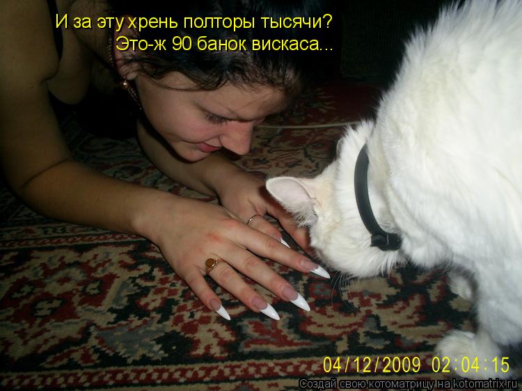 И за эту хрень полторы тысячи? Это-ж 90 банок вискаса...... Котоматрица: И за эту хрень полторы тысячи? Это-ж 90 банок вискаса...