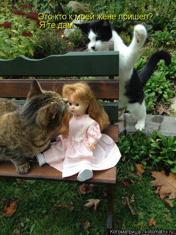 Это кто к моей жене пришел? Я те дам...... Котоматрица: Это кто к моей жене пришел? Я те дам...