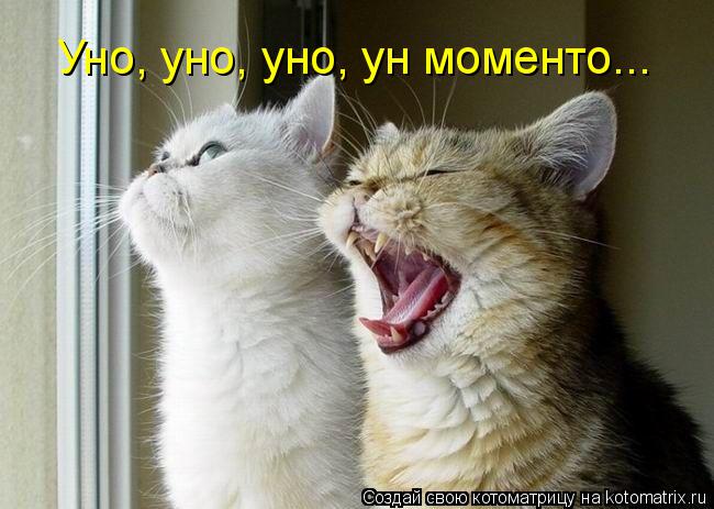 Уно, уно, уно, ун моменто...... Котоматрица: Уно, уно, уно, ун моменто...