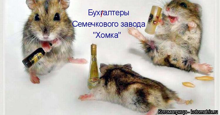 Бухгалтеры Семечкового завода "Хомка" /... Котоматрица: Бухгалтеры Семечкового завода "Хомка" /
