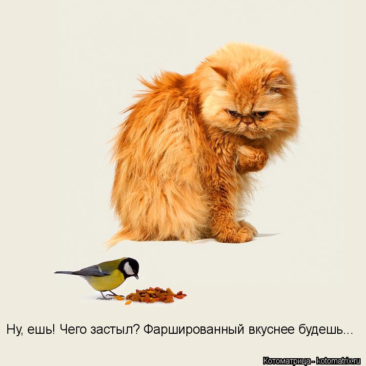 Ну, ешь! Чего застыл? Фаршированный вкуснее будешь...... Котоматрица: Ну, ешь! Чего застыл? Фаршированный вкуснее будешь...