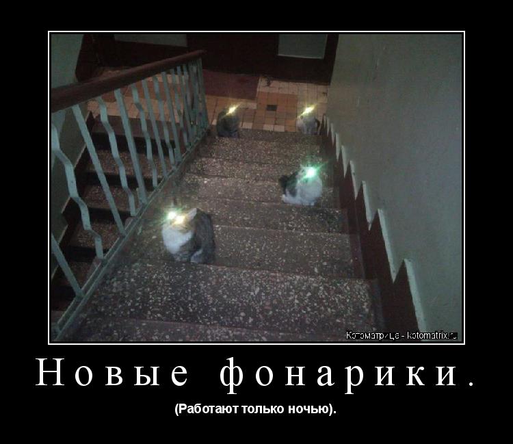 Котоматрица: Новые фонарики. (Работают только ночью).