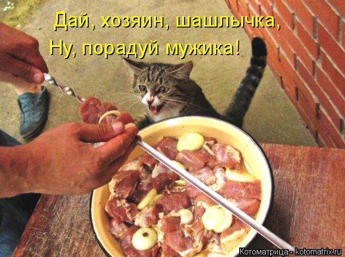Дай, хозяин, шашлычка, Ну, порадуй мужика!... Котоматрица: Дай, хозяин, шашлычка, Ну, порадуй мужика!