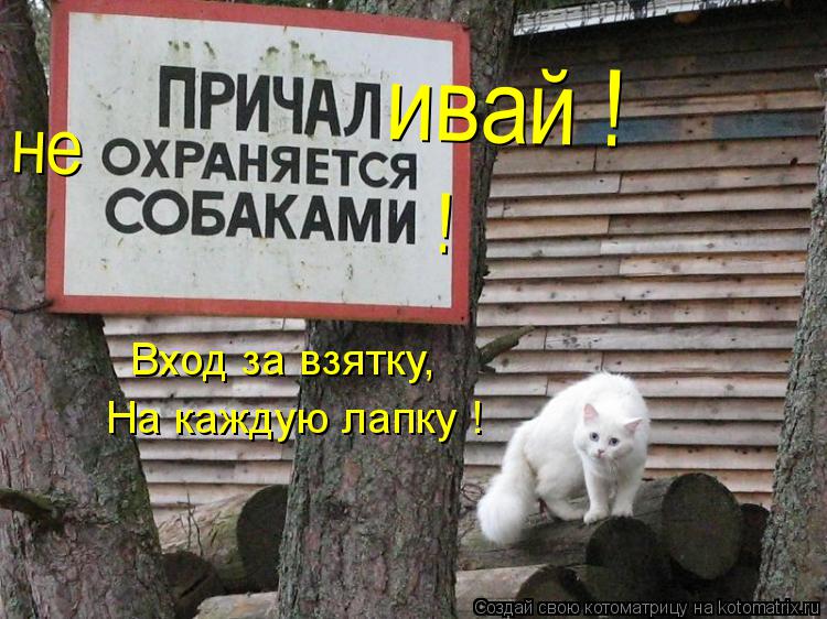 Котоматрица: ивай ! не ! Вход за взятку, На каждую лапку !
