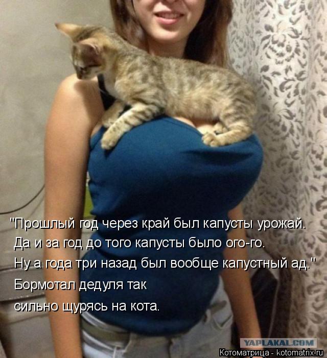 Котоматрица: "Прошлый год через край был капусты урожай. Да и за год до того капусты было ого-го. Ну а года три назад был вообще капустный ад." Бормотал дед