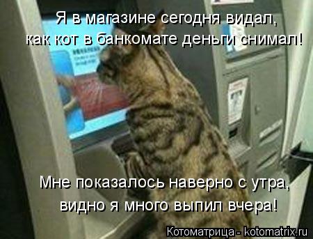 как кот в банкомате деньги снимал! Я в магазине сегодня видал, видно я много выпил вчера! Мне показал... Котоматрица: как кот в банкомате деньги снимал! Я в магазине сегодня видал, видно я много выпил вчера! Мне показалось наверно с утра,