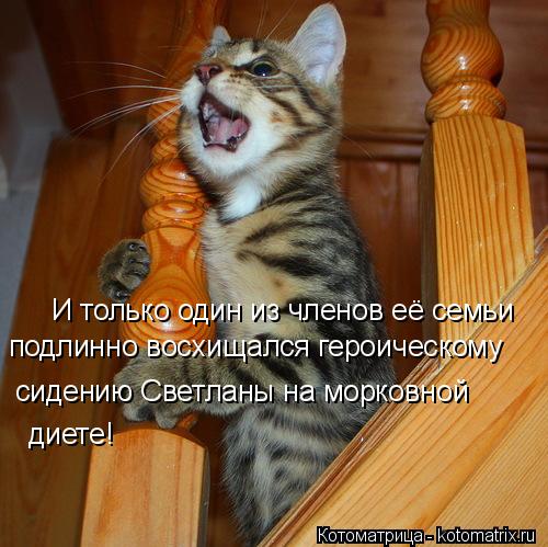 Котоматрица: подлинно восхищался героическому  сидению Светланы на морковной  И только один из членов её семьи диете!