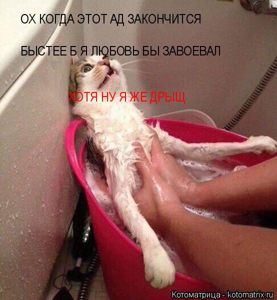 Котоматрица: ОХ КОГДА ЭТОТ АД ЗАКОНЧИТСЯ БЫСТЕЕ Б Я ЛЮБОВЬ БЫ ЗАВОЕВАЛ ХОТЯ НУ Я ЖЕ ДРЫЩ