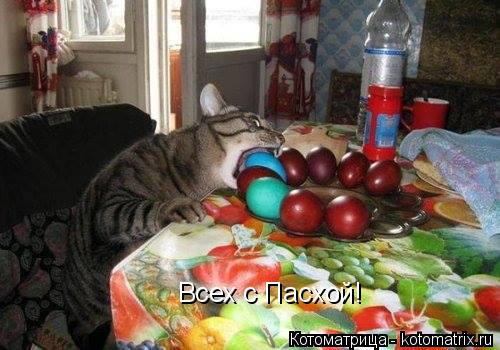 Всех с Пасхой!... Котоматрица: Всех с Пасхой!