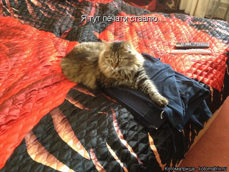 Я тут печати ставлю…... Котоматрица: Я тут печати ставлю…
