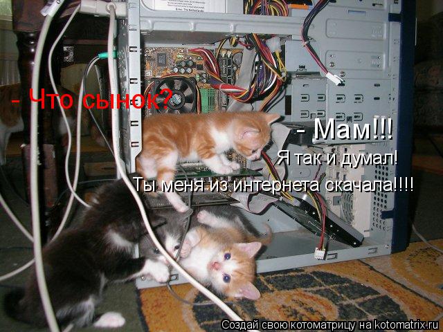 - Мам!!! - Что сынок? Я так и думал! Ты меня из интернета скачала!!!!... Котоматрица: - Мам!!! - Что сынок? Я так и думал! Ты меня из интернета скачала!!!!