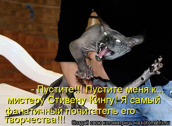 Котоматрица: - Пустите!!! Пустите меня к...  мистеру Стивену Кингу! Я самый  фанатичный почитатель его  творчества!!!