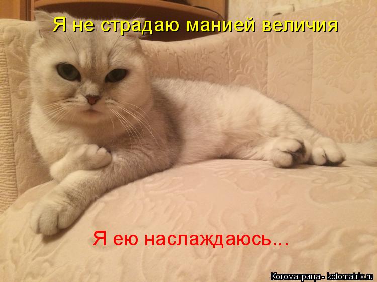 Я не страдаю манией величия Я ею наслаждаюсь...... Котоматрица: Я не страдаю манией величия Я ею наслаждаюсь...