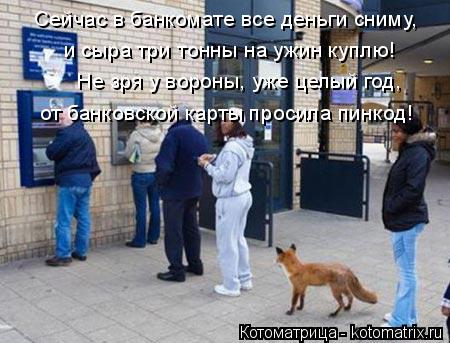 Котоматрица: Сейчас в банкомате все деньги сниму, и сыра три тонны на ужин куплю! Не зря у вороны, уже целый год, от банковской карты просила пинкод!