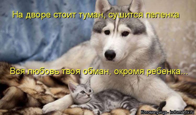 На дворе стоит туман, сушится пеленка Вся любовь твоя обман, окромя ребенка...... Котоматрица: На дворе стоит туман, сушится пеленка Вся любовь твоя обман, окромя ребенка...