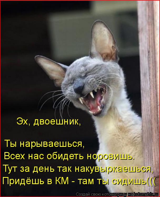 Эх, двоешник, Ты нарываешься, Всех нас обидеть норовишь. Тут за день так накувыркаешься, Придёшь в КМ... Котоматрица: Эх, двоешник, Ты нарываешься, Всех нас обидеть норовишь. Тут за день так накувыркаешься, Придёшь в КМ - там ты сидишь(((
