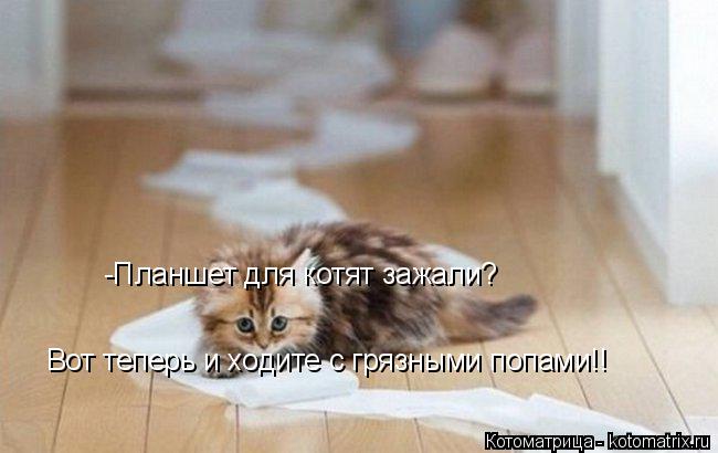Котоматрица: -Планшет для котят зажали?  Вот теперь и ходите с грязными попами!!