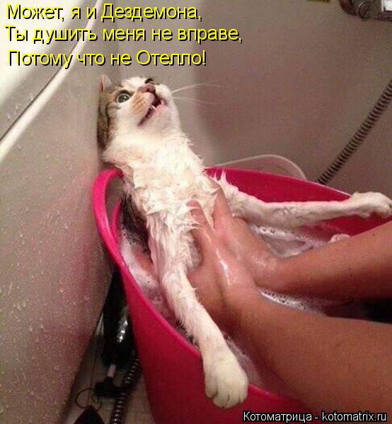 Может, я и Дездемона, Ты душить меня не вправе, Потому что не Отелло!... Котоматрица: Может, я и Дездемона, Ты душить меня не вправе, Потому что не Отелло!