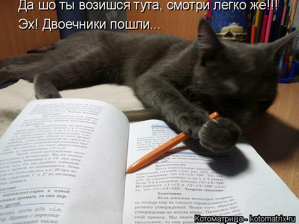 Котоматрица: Да шо ты возишся тута, смотри легко же!!! Да шо ты возишся тута, смотри легко же!!! Эх! Двоечники пошли...