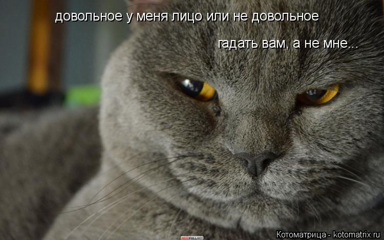 довольное у меня лицо или не довольное гадать вам, а не мне...... Котоматрица: довольное у меня лицо или не довольное гадать вам, а не мне...