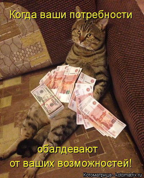 Когда ваши потребности обалдевают от ваших возможностей!... Котоматрица: Когда ваши потребности обалдевают от ваших возможностей!