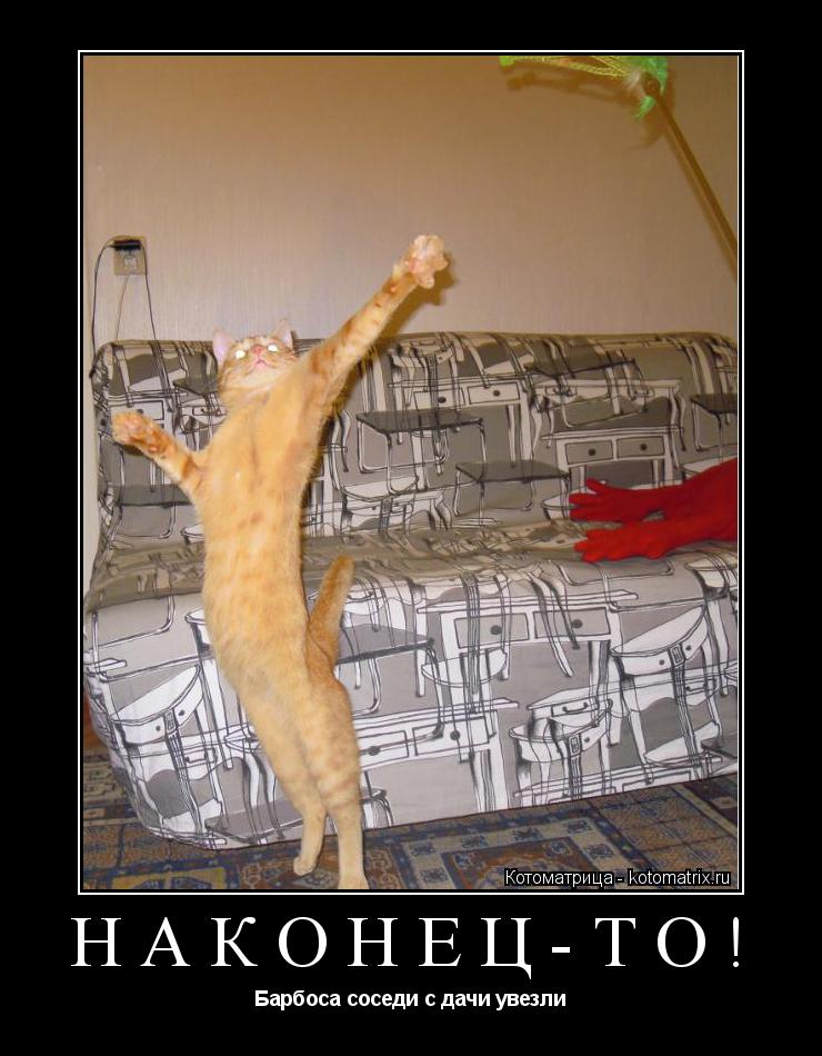 НАКОНЕЦ-ТО! Барбоса соседи с дачи увезли... Котоматрица: НАКОНЕЦ-ТО! Барбоса соседи с дачи увезли
