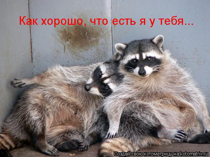 Как хорошо, что есть я у тебя...... Котоматрица: Как хорошо, что есть я у тебя...