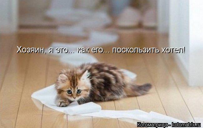 Хозяин, я это... как его... поскользить хотел!... Котоматрица: Хозяин, я это... как его... поскользить хотел!