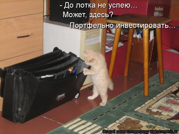 - До лотка не успею… Портфельно инвестировать… Может, здесь?... Котоматрица: - До лотка не успею… Портфельно инвестировать… Может, здесь?