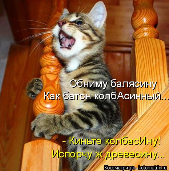 Обниму балясину Как батон колбАсинный... - Киньте колбасИну! Испорчу ж древесину...... Котоматрица: Обниму балясину Как батон колбАсинный... - Киньте колбасИну! Испорчу ж древесину...
