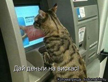 Дай деньги на вискас!... Котоматрица: Дай деньги на вискас!