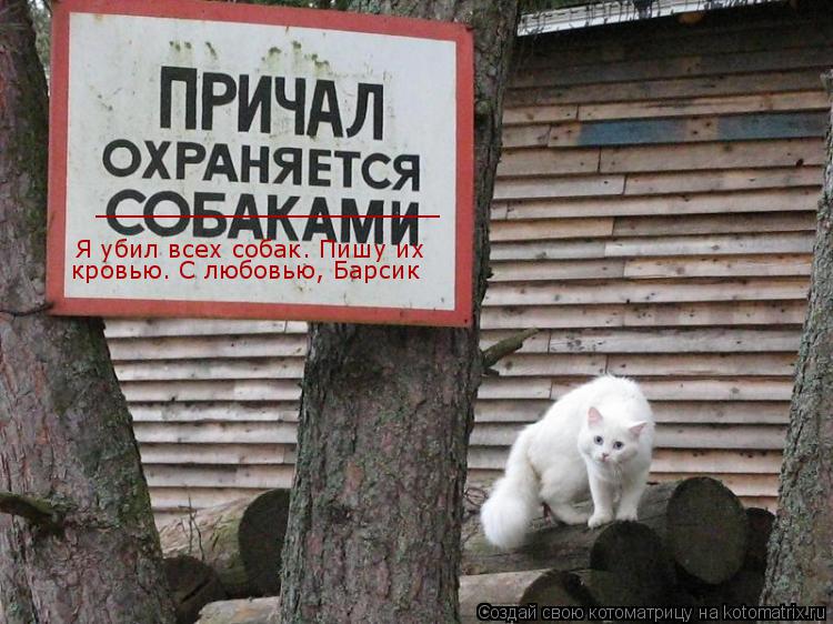 Я убил всех собак. Пишу их кровью. С любовью, Барсик _____________________... Котоматрица: Я убил всех собак. Пишу их кровью. С любовью, Барсик _____________________