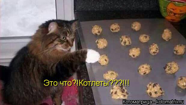 Это что?!Котлеты???!!!... Котоматрица: Это что?!Котлеты???!!!