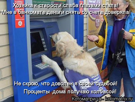 Хозяйка к старости слаба глазами стала! Мне в банкомате деньги снять со счета доверяла! Проценты дом... Котоматрица: Хозяйка к старости слаба глазами стала! Мне в банкомате деньги снять со счета доверяла! Проценты дома получаю колбасой! Не скрою, что довол
