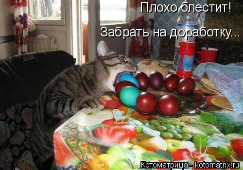 Плохо блестит! Забрать на доработку...... Котоматрица: Плохо блестит! Забрать на доработку...