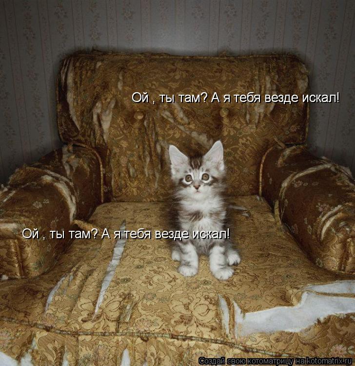 Ой , ты там? А я тебя везде искал! Ой , ты там? А я тебя везде искал! Ой , ты там? А я тебя везде иск... Котоматрица: Ой , ты там? А я тебя везде искал! Ой , ты там? А я тебя везде искал! Ой , ты там? А я тебя везде искал!