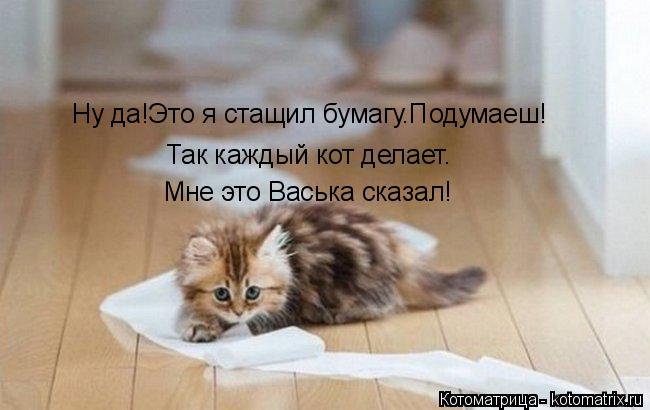Ну да!Это я стащил бумагу.Подумаеш! Так каждый кот делает. Мне это Васька сказал!... Котоматрица: Ну да!Это я стащил бумагу.Подумаеш! Так каждый кот делает. Мне это Васька сказал!