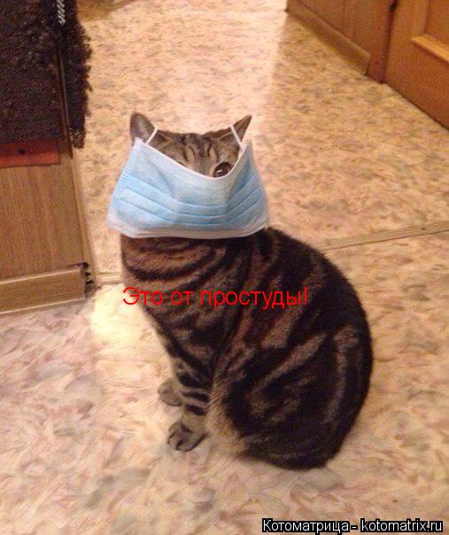 Это от простуды!... Котоматрица: Это от простуды!