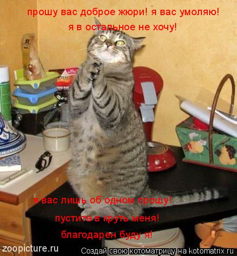 я в остальное не хочу! прошу вас доброе жюри! я вас умоляю! я вас лишь об одном прошу! пустите в крут... Котоматрица: я в остальное не хочу! прошу вас доброе жюри! я вас умоляю! я вас лишь об одном прошу! пустите в круть меня! благодарен буду я!