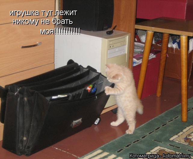 Котоматрица: игрушка тут лежит моя!!!!!!!!!!! никому не брать