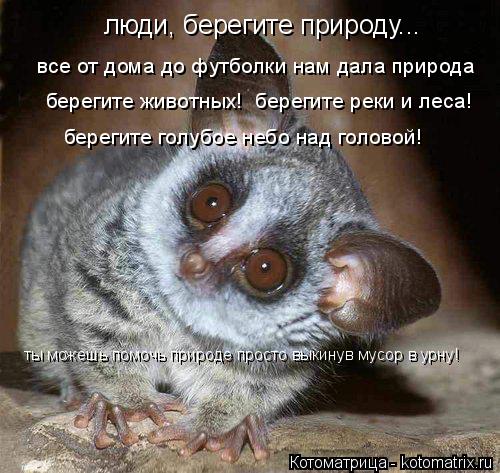 все от дома до футболки нам дала природа люди, берегите природу... берегите животных! берегите реки ... Котоматрица: все от дома до футболки нам дала природа люди, берегите природу... берегите животных! берегите реки и леса! берегите голубое небо над голово