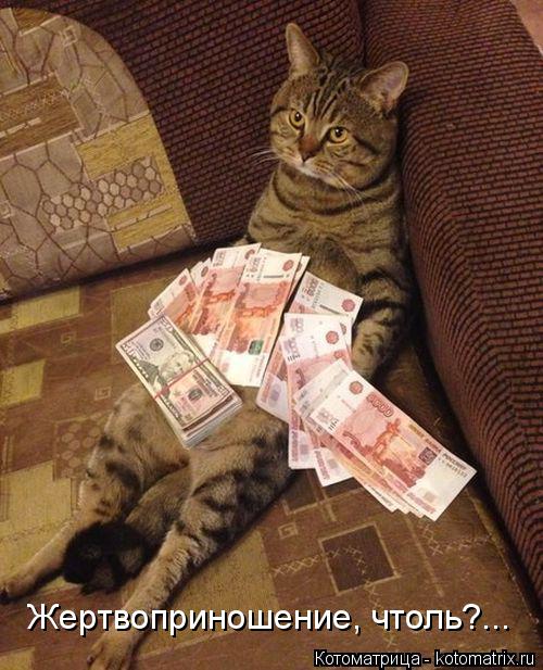 Жертвоприношение, чтоль?...... Котоматрица: Жертвоприношение, чтоль?...
